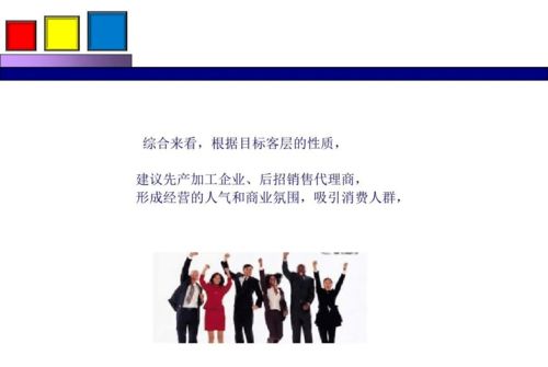 勁花項目營銷策劃方案分享
